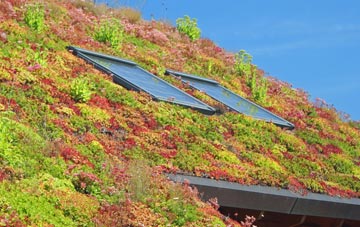 Far Banks living roof systems