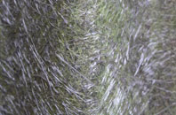 Far Banks fibreglass roof work